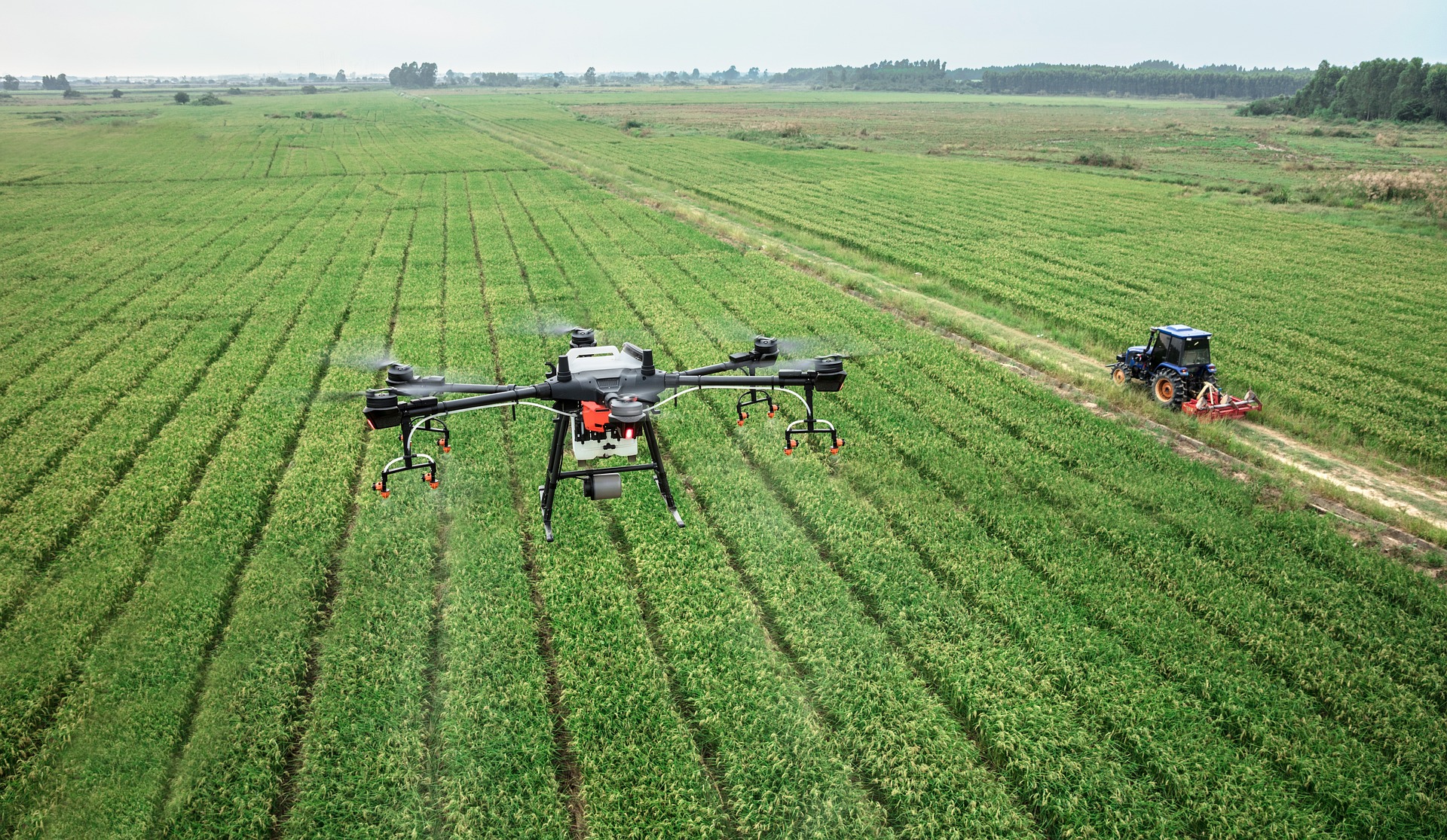 Thermal & LiDAR Scanning